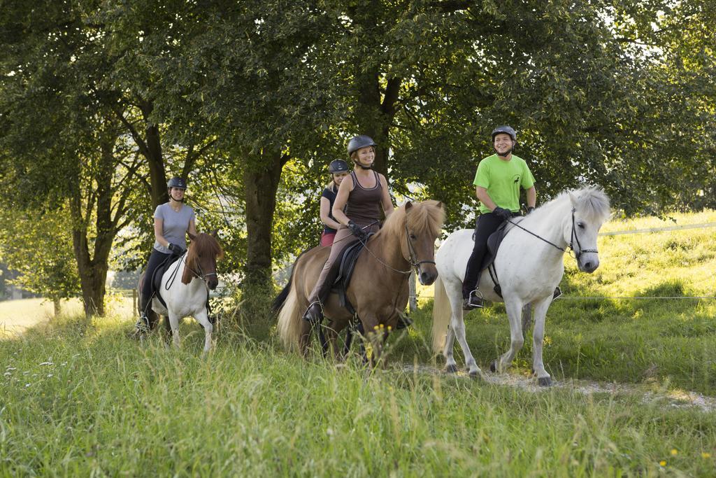 Hotel Reitzentrum Hausruckhof Ampflwang im Hausruckwald Екстериор снимка