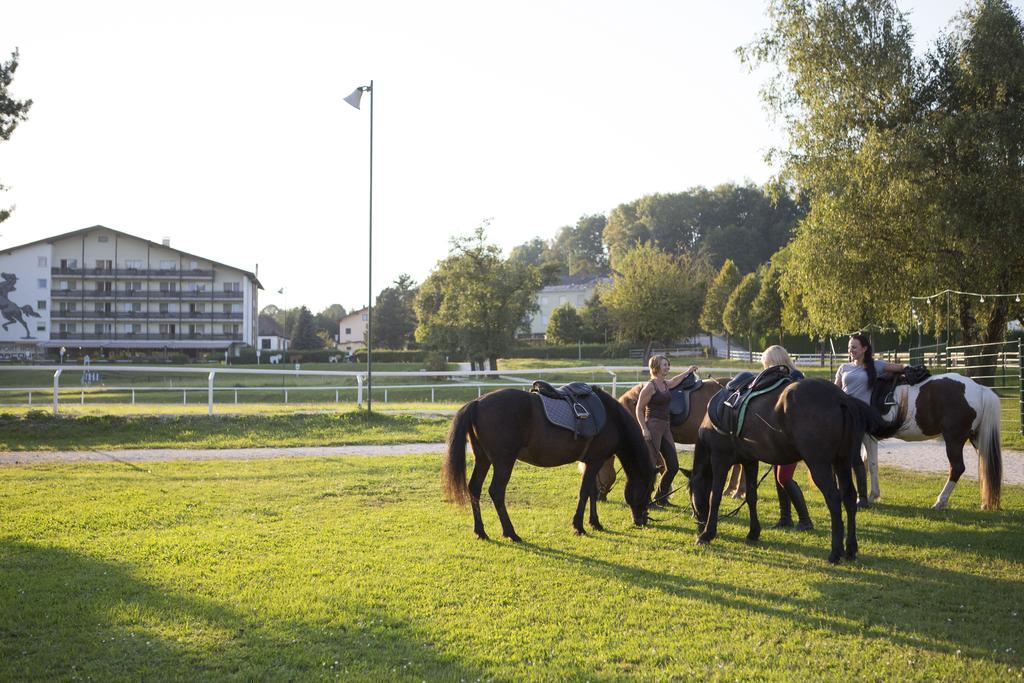 Hotel Reitzentrum Hausruckhof Ampflwang im Hausruckwald Екстериор снимка